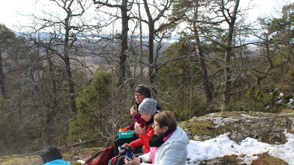 Utsikten är fantastisk från fornborgen Moteklint i Kvillingeförkastningens naturreservat. Långt bort syns Glan.