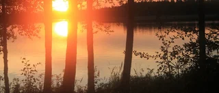 Publikens favoritbild på mässan