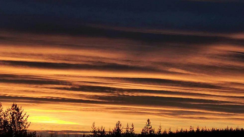 Vacker solnedgång en dag i januari. 