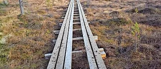 1,8 miljoner till samebyar för att minska skador på våtmarker