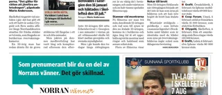 Utlämnad 33-åring fick fängelsestraff