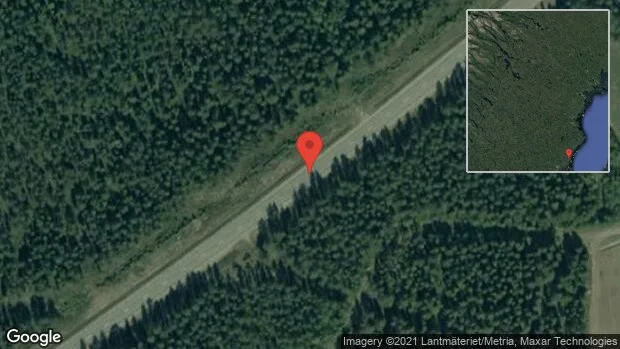 Renar på vägen på E4