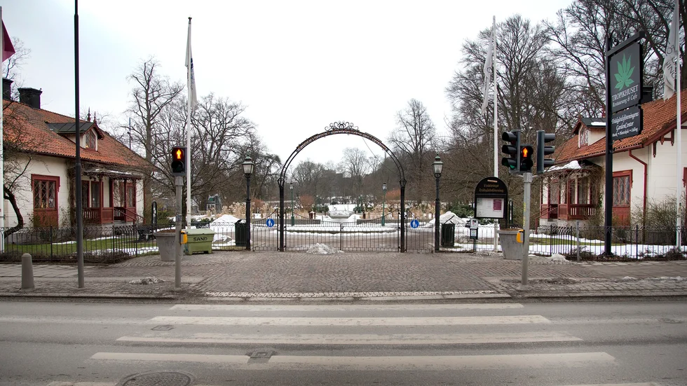 "Vandring vid Vintergatan" startar vid entrén till Trädgårdsföreningen.  