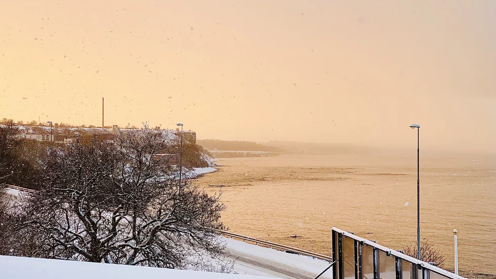 Ymnigt snöande över Gotland på onsdagsförmiddagen.