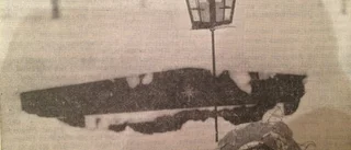50 år sedan: Fjällrenarna åt upp julkransarna på gravarna
