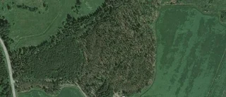 Ny ägare tar över gård i Tierp Landsbygd