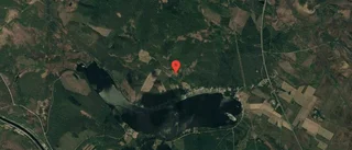 Nya ägare till skog i Glommersträsk