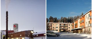 Torghusägaren vägrade i sten att betala för tiden med bärplockarna – men energibolaget jagar vidare