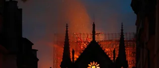 Notre-Dame och kampen för klimatet