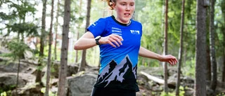 Alexandersson väljer asfalt framför skog
