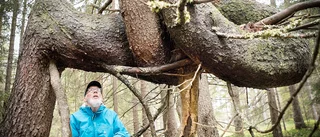 Naturens under – vilket osannolikt äktenskap