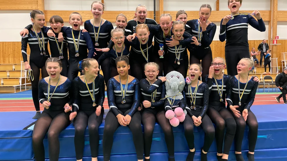 VIsbygymnasternas trupp 6 överraskade och tog guld i Huddinge.