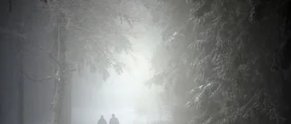 Är vi så ogina vi fotgängare i Piteå?   