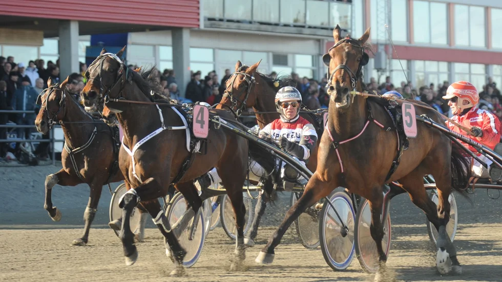 Danidie Palema (nr 4) när han vinner V75 tillsammans med Örjan Kihlström.