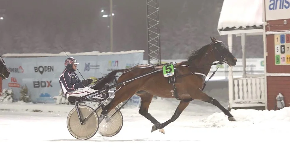 Avaboy och Micael Melander vinner ett Grand Slam 75-lopp i Boden.