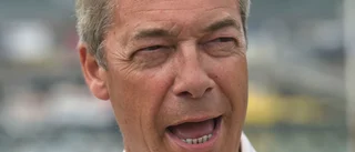 Brittisk populist ger råd i dansk politik