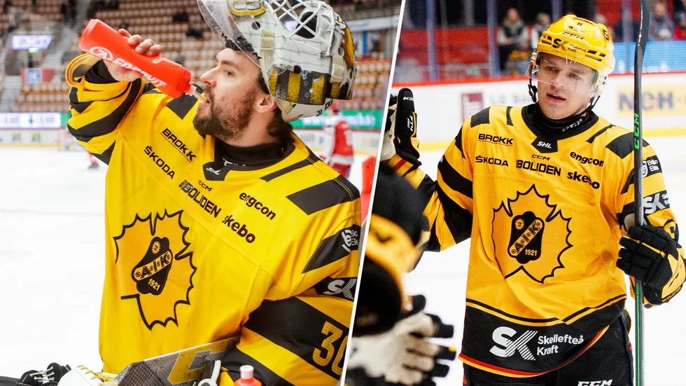 Gustaf Lindvall tar plats mellan stolparna och Måns Forsfjäll är tillbaka från sjukdom när Rögle kommer på besök.