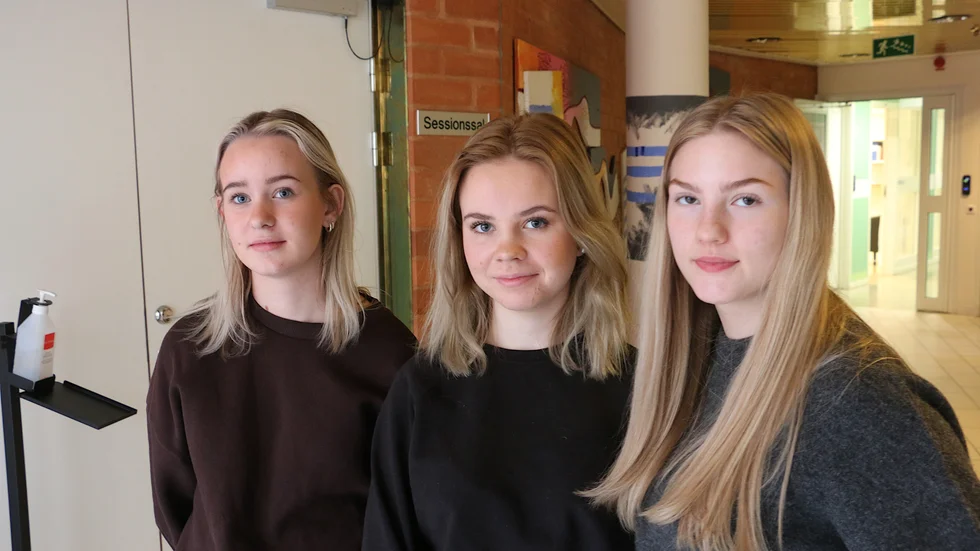 UF Winclo drivs av Barbara Kusmicki, Meja Jonsson Julia Pettersson och Tilde Berglund (Ej på bild). Deras idé är att sälja Second Handkläder på nätet. En idé som är hetare än någonsin nu.