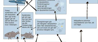 Fatta fler kloka beslut