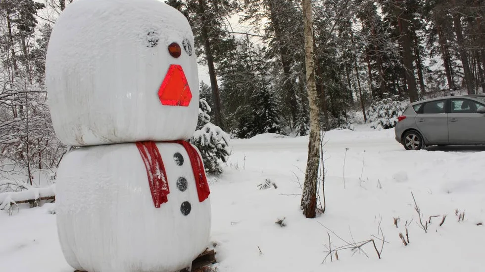 Bamsegubbe. En snögubbe av bamseformat, kan man se längs vägen till Rejmyre. Men han är inte gjord av snö, utan av höbalar, så han kommer att överleva även om de kommer att bli riktigt svåra töväder framöver...