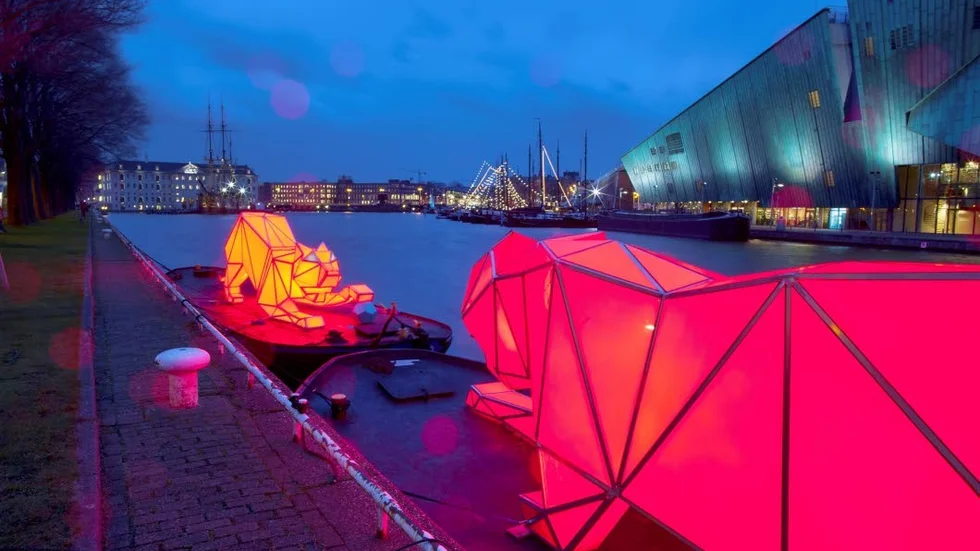 Lysande tigrar till Holmentorget under Ljusfestivalen.