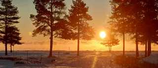Läsarbilden: Solen lyser upp mörk årstid