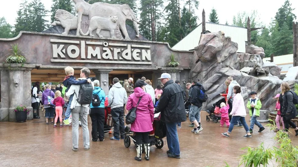 På topplistan. Kolmårdens djurpark är det åttonde mest instagrammade turistmålet i Sverige.