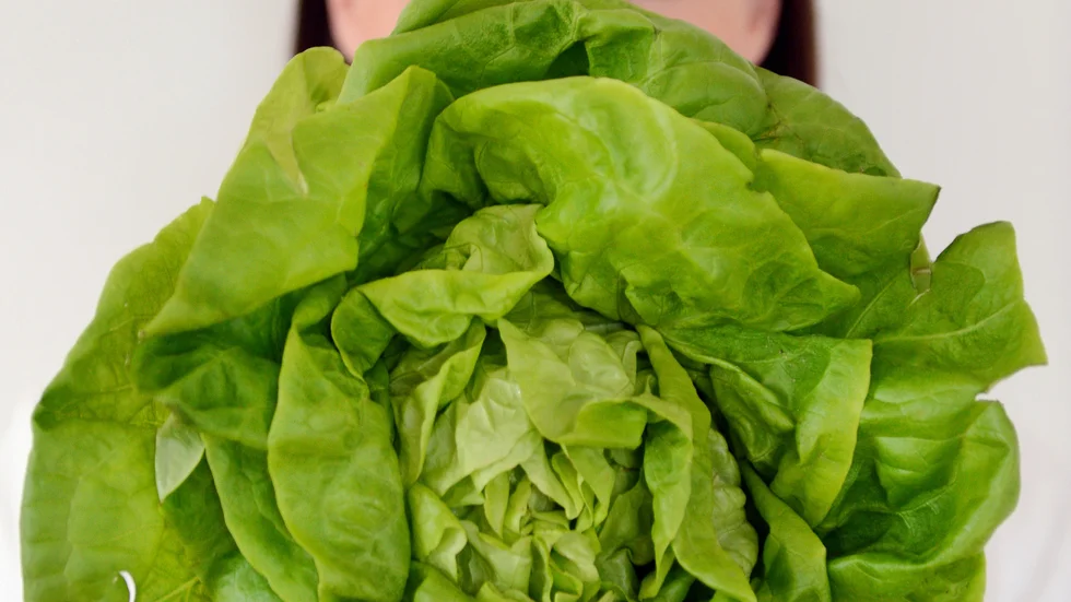 "En momssänkning på vegetabilier kan lindra matprischocken, förbättra folkhälsan och pressa ner växthusgasutsläppen", menar insändarskribenten.