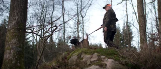Debatt: Tryggheten för jägare måste kunna garanteras