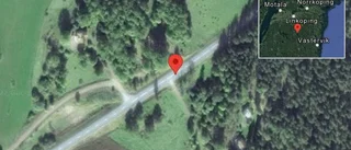 Ko på vägen