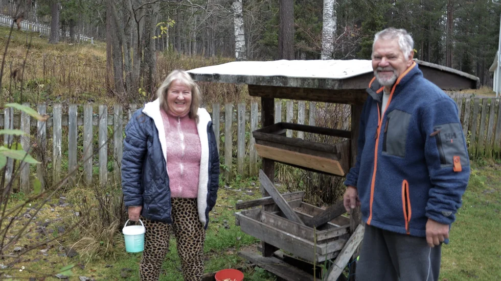 Gunilla och Bernt Karlsson har i 35 år troget matat rådjuren på utanför den rosa villan på Postvägen i Porjus.