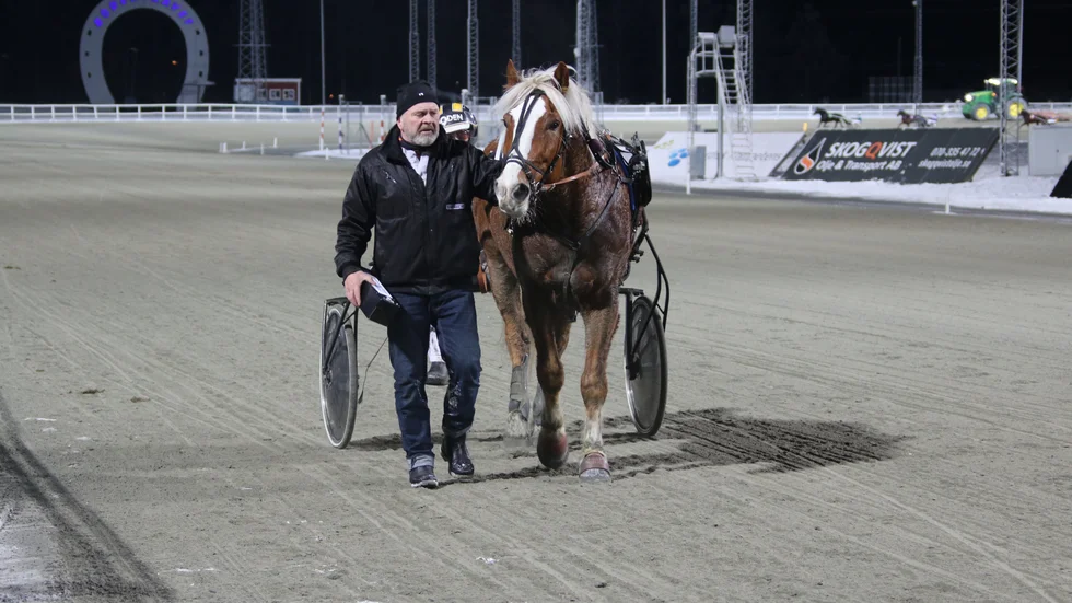Lillpiteamatören Ralf Johansson är nominerad till Årets amatör och 13-årige kallblodet Klocksve Adrian till Årets kallblod på Bodentravet.