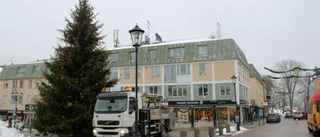 Se när årets julgran hämtas i Skärstad utanför Södra Vi • "En ovanligt grov pjäs i år"