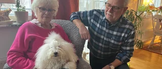 Efter hundattacken hjälper Yatzy, 3, till med trösten • Ingen ersättare för bortgångna Divina: "De är lika men samtidigt väldigt olika"