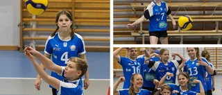 BILDEXTRA: Många smashar i Folkungahallen: "Har varit en styrka"