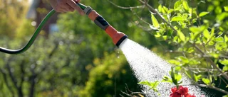 Bevattningsförbud nu igen – varför då?