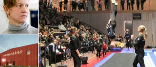 Visbygymnasternas nya plan för att rädda hallprojektet