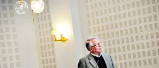 Ris och ros från revisorerna