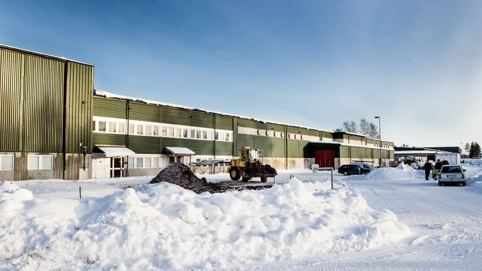 BINGO. Bodenföretaget Bodens Eltjänst AB fick ett kontrakt med datahallen KNC Miner – och vips ökade omsättningen med 250 procent.