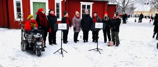 TV: Kören Kvittra spred julstämning på Nordanå