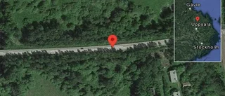 Fallna träd skapar problem i trafiken på väg 292