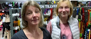 Råden: Det ska du tänka på när du ska skaffa hund