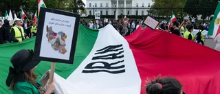 Irans militär redo att slå ned mot "flugor"