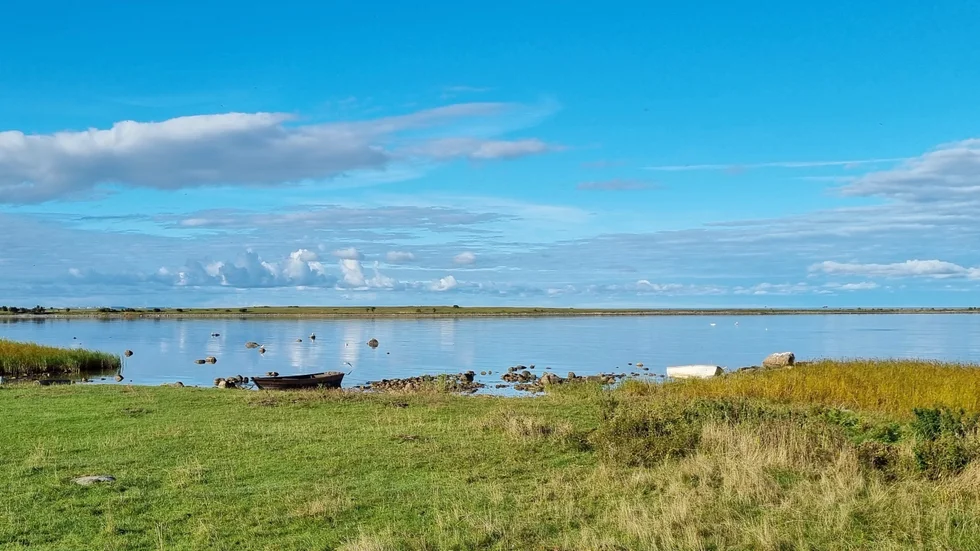Underhållet av vägen ner till naturreservatet Vivesholm kan inte vänta, anser länsstyrelsen som nu beslutat sig för att rusta upp vägen.