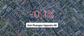 Marginell förlust för Koh Phangan Uppsala AB