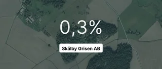 Skälby Grisen på rätt sida om strecket