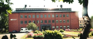 "Norrbottens museum vibrerar av aktivitet"