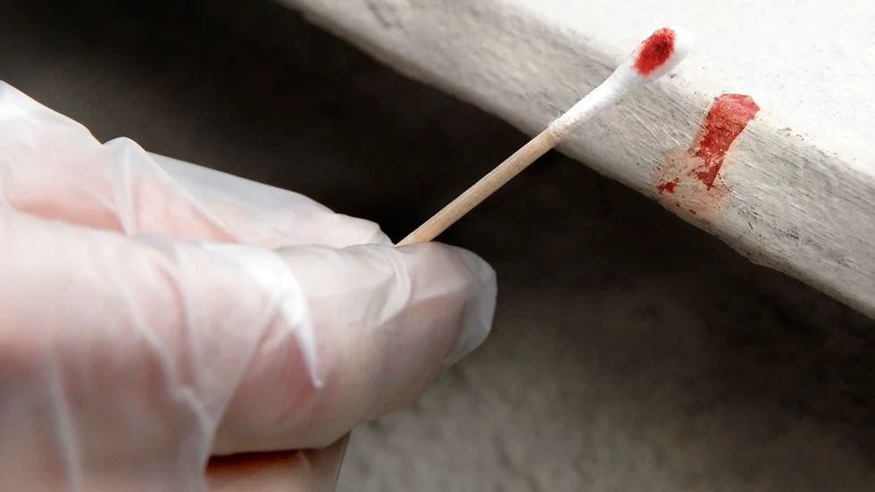 Blodspår i fastigheten hade 36-åringens dna. (Bilden är inte från brottsplatsen utanför Bureå.)