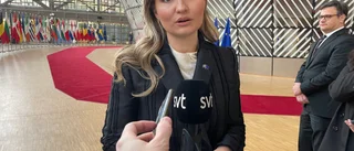 Nytt fiasko i EU-jakt på gastak