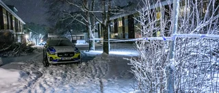 Stor polisinsats på Hertsön ■ En person gripen för grovt brott ■ "Jag tänker att det var ett skjutvapen jag hörde"